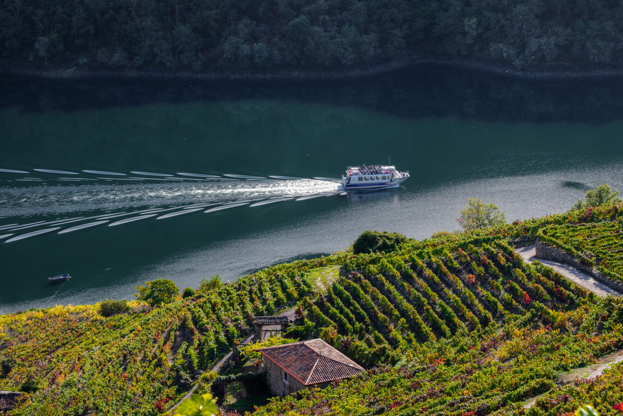 Un catamarán turístico navega entre los cañones de Sil.